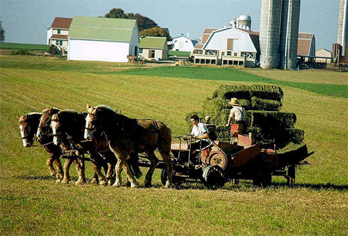 tour alla comunità Amish