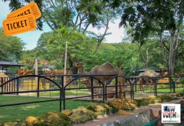 Zoo del Bronx