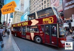 Hop-on Hop­-off Bus Tour (1gg)