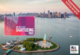 Sightseeing DAY Pass