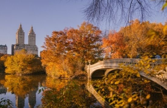 Bow Bridge, Central Park