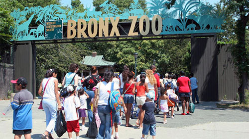 bronx zoo per famiglie e bambini