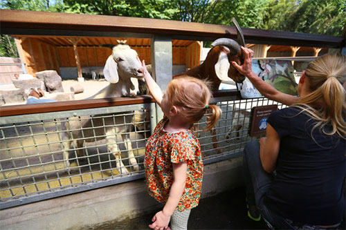 bronx zoo per i bambini