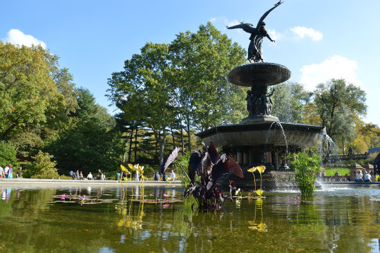 fotografare a central park