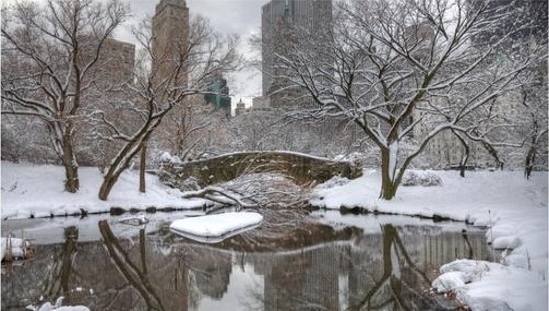 Central Park con la neve