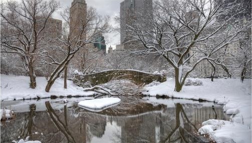 central-park-neve