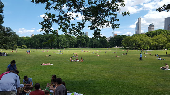 tour in bici di Central Park