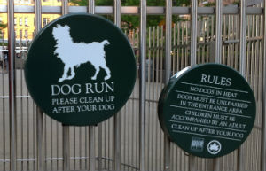 Dog run a New York