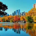 Foliage a New York