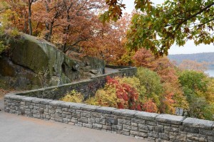 Foliage a Fort Tryon Park