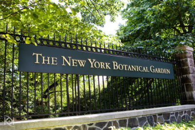 Giardino botanico di New York