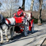 tour con carrozza e cavallo a central park