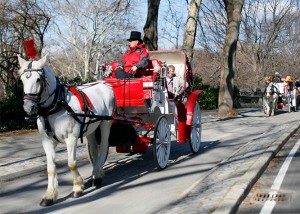 giro a central park in carrozza