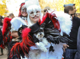 Halloween Dog Parade