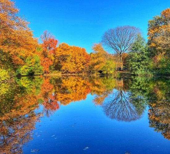 Il lago di Prospect Park