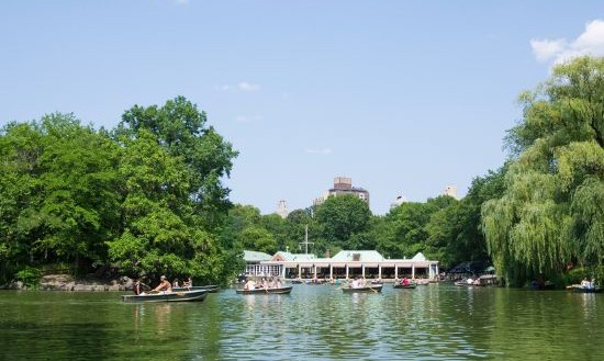 The Lake, Central Park