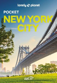 guida su new york edizione pocket by lonely planet