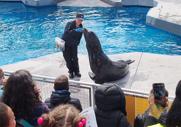 Animali marini che mangiano all'acquario di New York