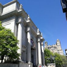 American Museum of Natural History