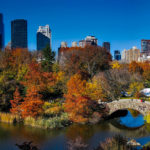 New York in autunno