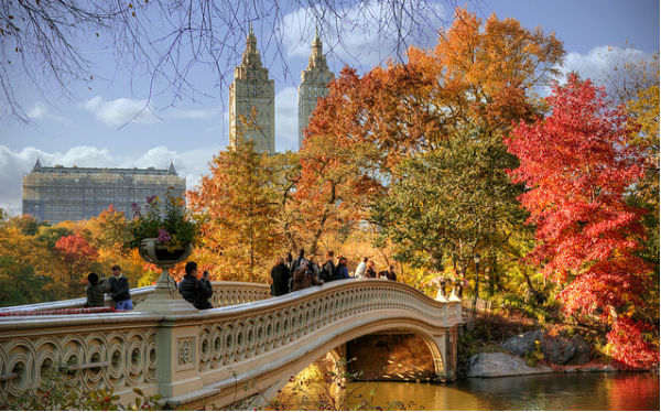 Novembre a New York: foliage a Central Park