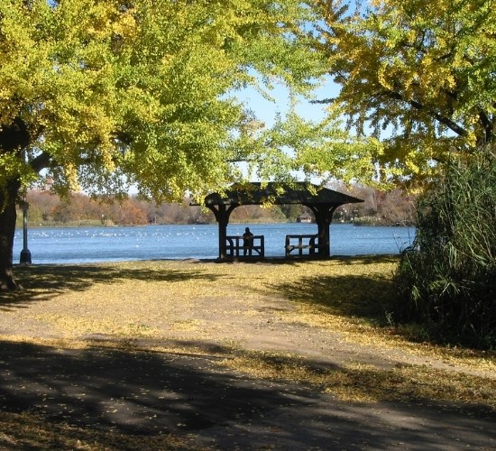 Lago di Prospect Park