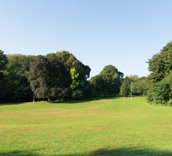 Prato di Prospect Park