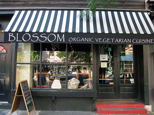 blosson cucina vegetariana