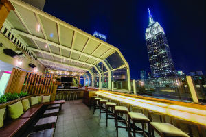 Rooftop Bar, The Strand New York