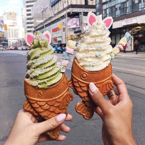 Taiyaki NYC