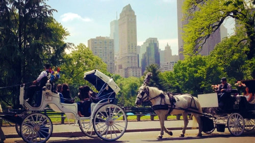 tour di central park in carrozza a cavallo