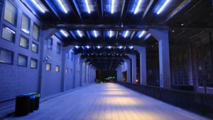 passeggiata di sera nella high line