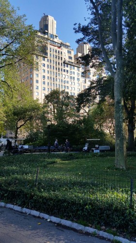 visita a Central Park
