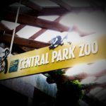 Zoo di Central Park